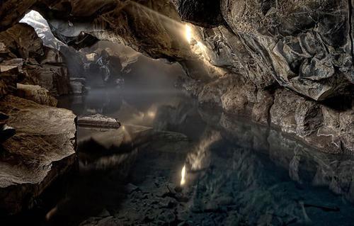 [蚊子]我曾经窥见过宇宙的秘密   ！