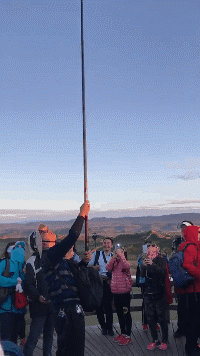 招聘|你遇到过招聘界的泥石流吗?某公司招聘要求,长得乖,放得开!