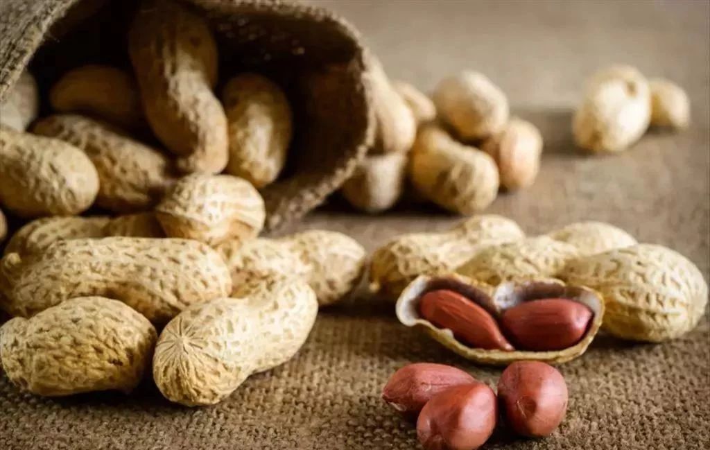 花生|花生和它一起煮，胜吃无数补药！长寿果就要这样吃