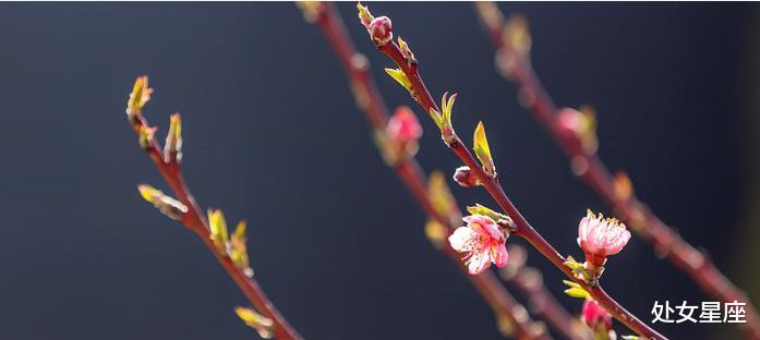 #生肖#3生肖熬过大难，最近十天顺利左右逢源，存款直线上升