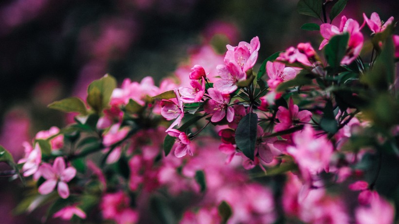 『生肖』7月中旬，夏夜蝉鸣互动，缔结新姻缘，一生惬意相守的四大生肖