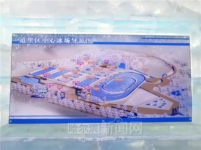 哈尔滨新闻网 看图就爱了!道里公益大大大冰场即将开放