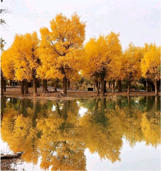 长白山|中国“秋天”最美的10个景区,个个都美如画