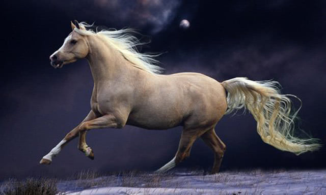 「生肖」鼠年贵人帮扶，福禄双全的4个生肖，日子越过越顺心