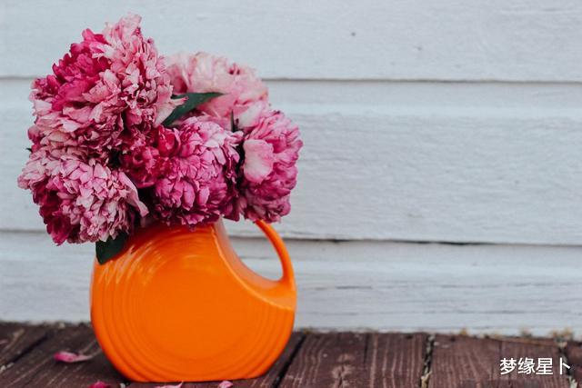 [金牛座]面对这四个星座的人，信任比猜忌更明智