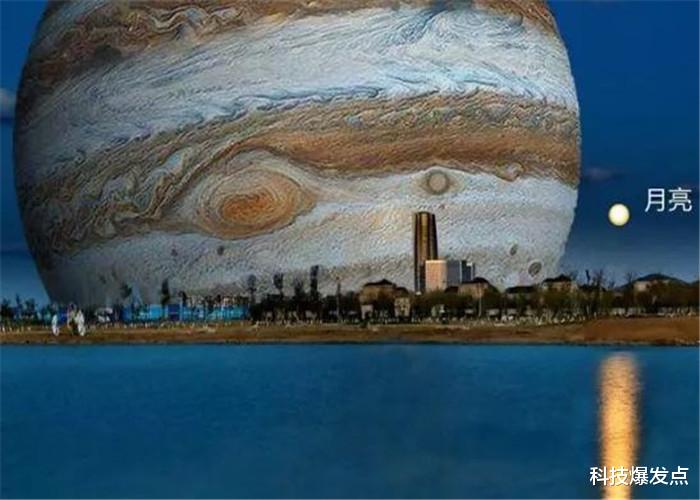 【木星】测试你有没有“巨物恐惧症”，这5张图，坚持看完的人真的不多！