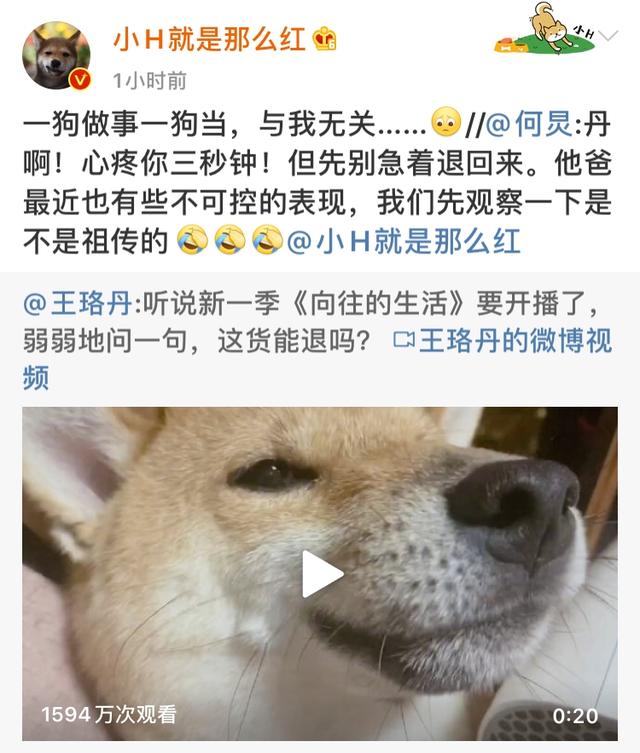 「王珞丹」王珞丹后悔养瓢哥,询问这货能退吗?何炅大呼心疼她三秒,节目组:概不售后!