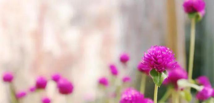 拥抱|未来两周放下腼腆,积极进取,大胆追求,迎接拥抱的三个星座