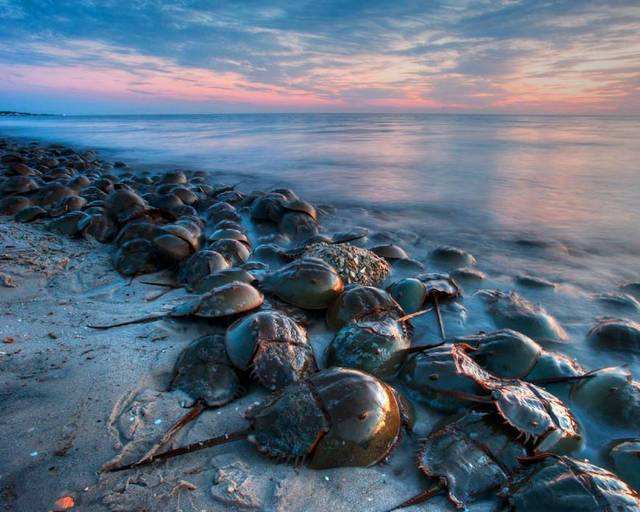 [毒液]地球上什么液体最贵？生命无价，其实最珍贵的液体就在我们身上！