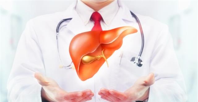 肝脏：保护身体的肝脏，除了不饮酒之外，还有什么要点相对比较的重要？