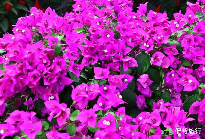 『生肖』7月5号财富暴涨，3生肖事业扶摇直上，苦尽甘来，不接不喜！