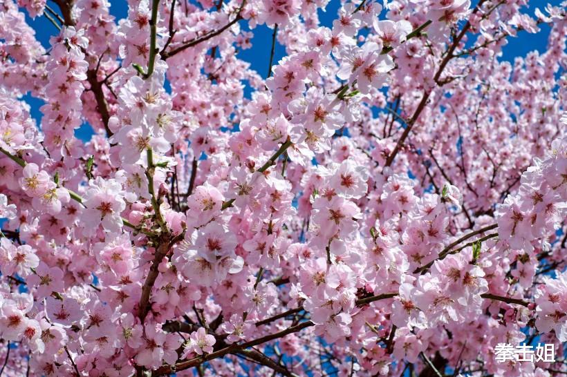 【】未来半年,3生肖财运最旺,准备好用麻袋装钱,日子开心
