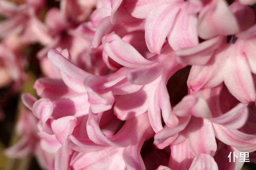 生肖@6月下旬注定“横财如雨”,财运爆发,事业顺遂的3大生肖,必富贵