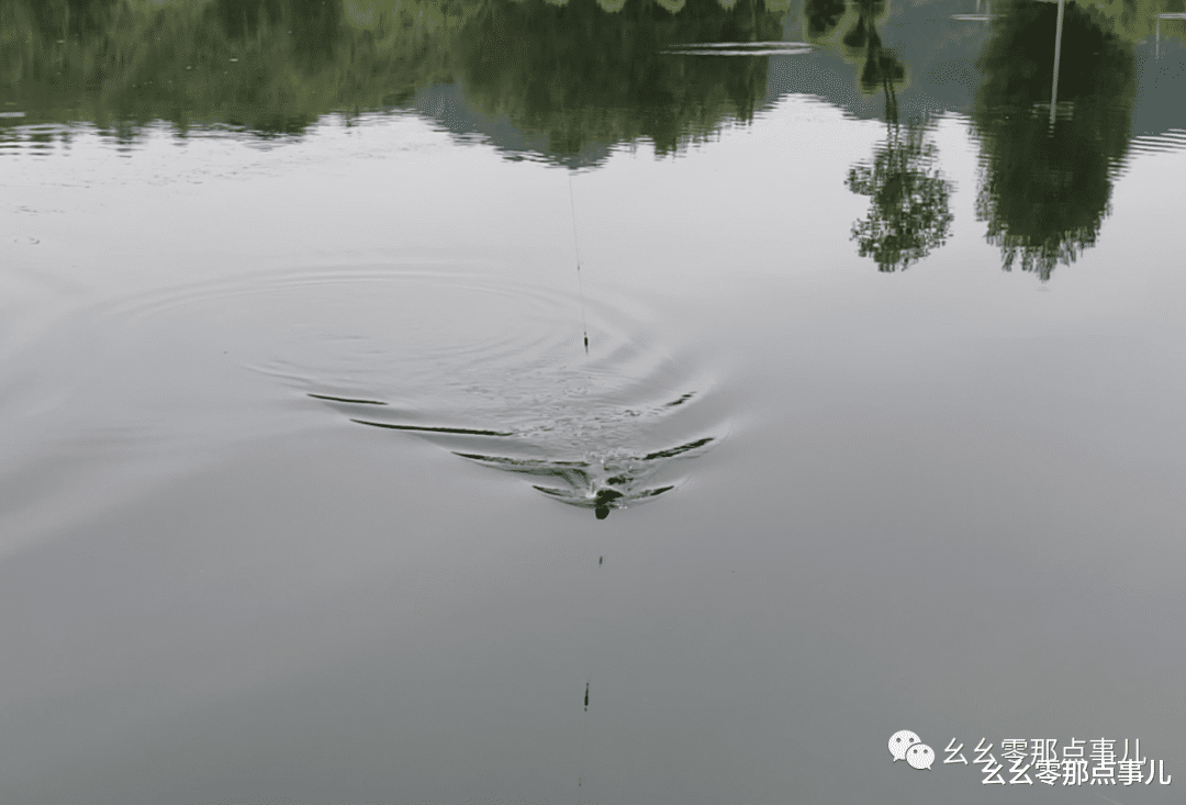 『』北京山中野钓爆护，全是大板鲫！入夏后想过瘾饵料和天气缺一不可