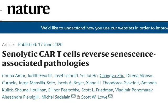 科学家■10天消灭100%衰老细胞，美科学家发现逆转衰老新机制