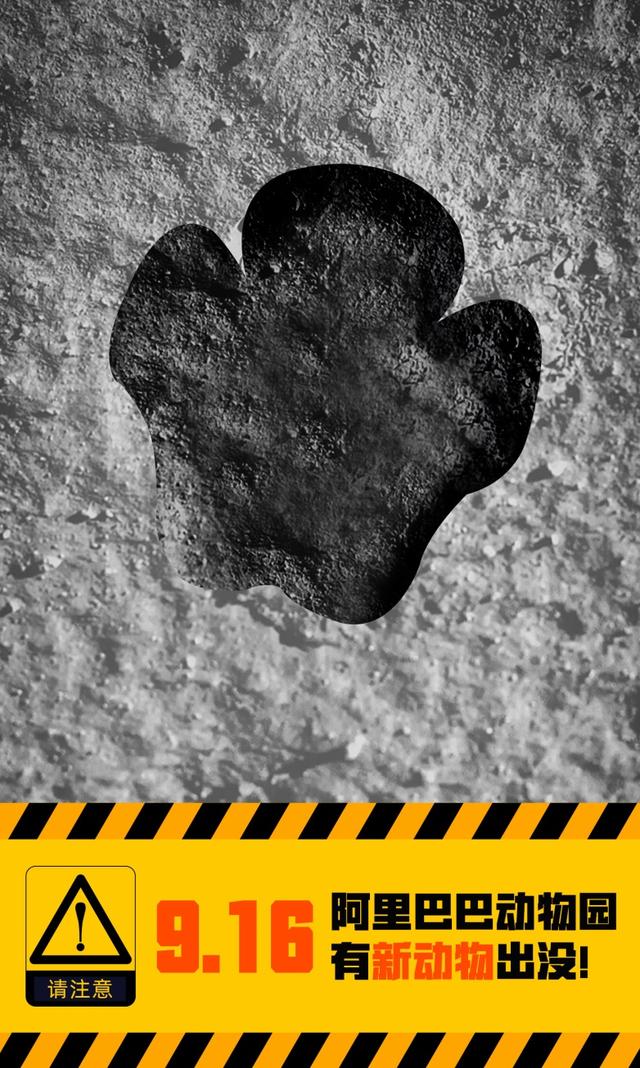 阿里巴巴|阿里新制造工厂揭晓！保密三年对接淘宝8亿消费者