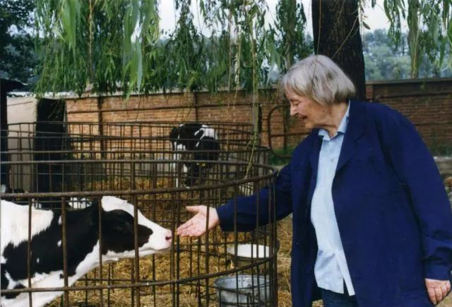 杨振宁|??她是杨振宁师姐、核武专家，却从美国跑到中国，放了一辈子牛