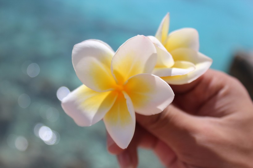 生肖▲7月中旬，真爱频回首，思念难斩断，4生肖姻缘花开，与爱人牵手