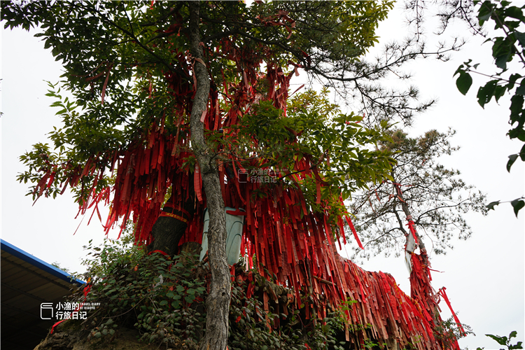 「楼观台」好事儿！西安两大王牌景点实行“一票通”，逛一圈能省70元！