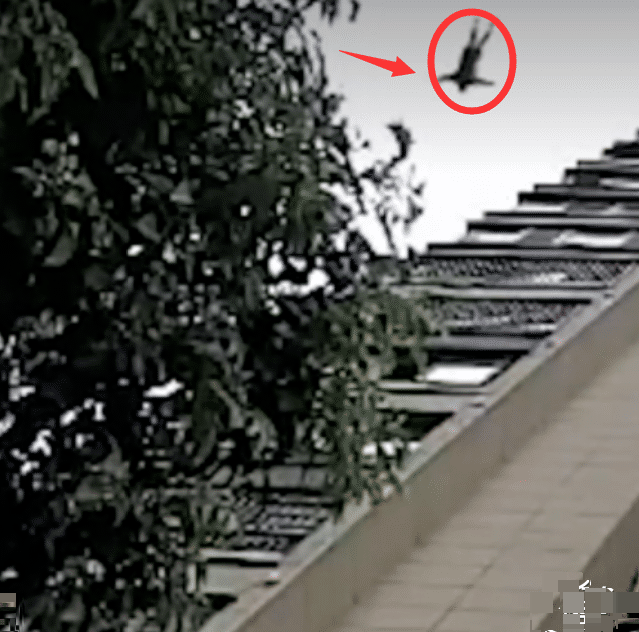 教师|鄱阳女教师从32楼坠亡，是不是女教师太多、男教师太少的缘故？