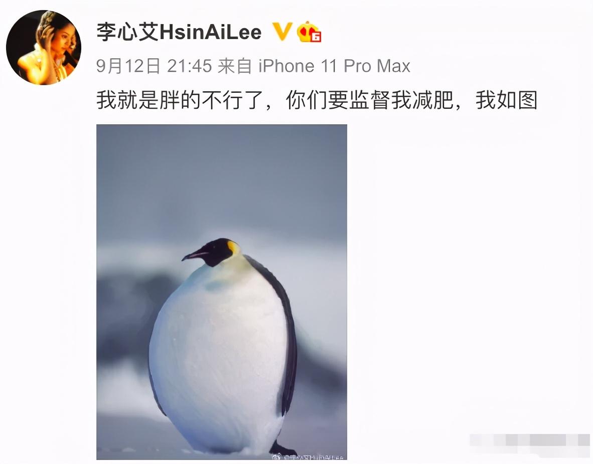 李心艾|李心艾胖出新天际，扮古装效果却很惊艳，网友：可以演杨贵妃了！
