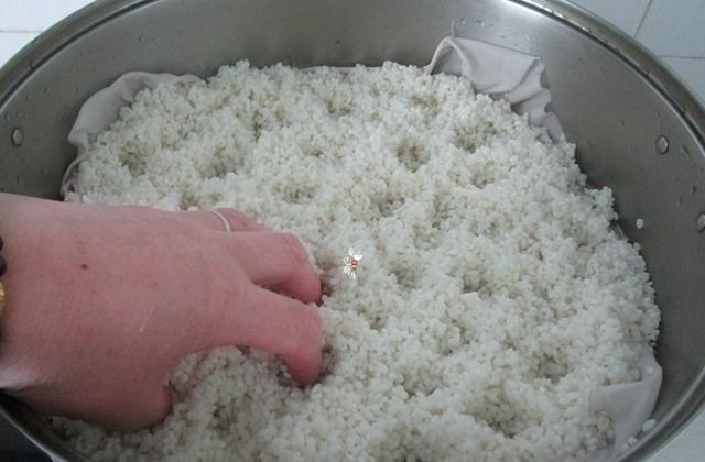 烧麦■这点心，蒸一蒸，10分钟能上桌，软糯鲜香，儿子每次都要吃到撑