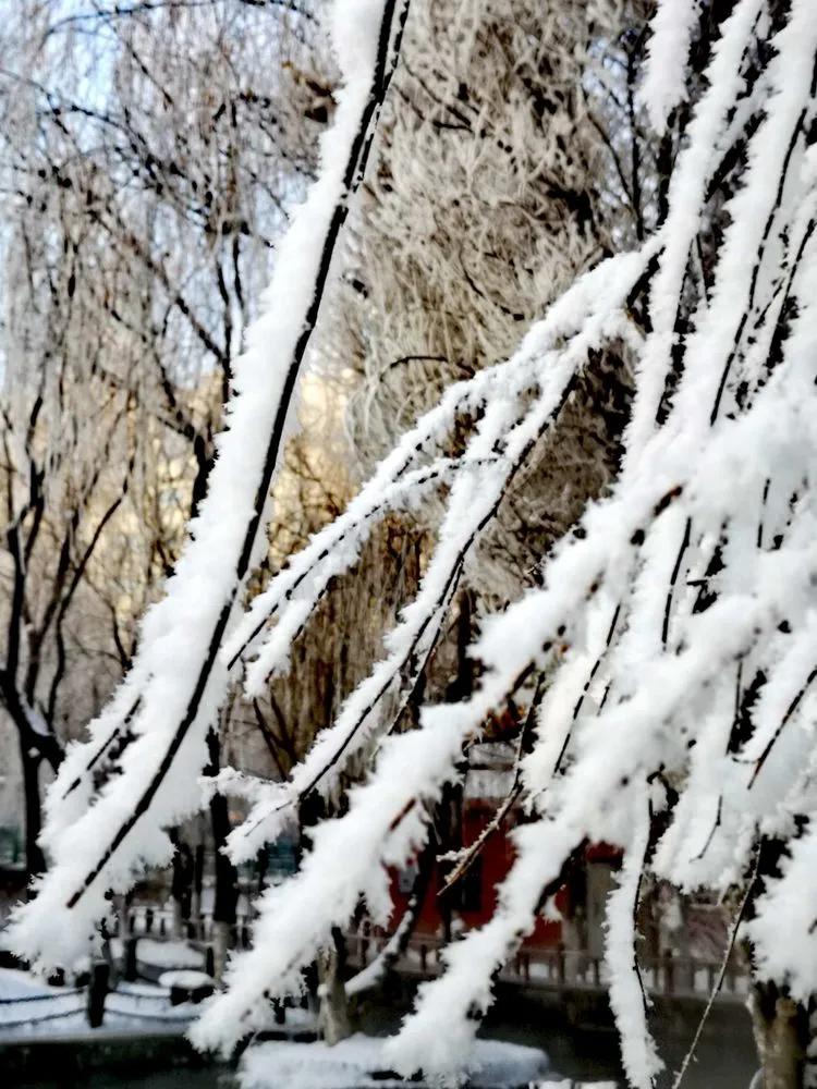新疆维吾尔自治区 天山脚下的边陲小城，名气虽不及伊犁，但风景美如画
