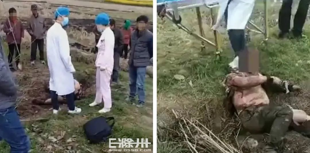 【高压线】鱼没钓到，命却丢了！怎么回事……