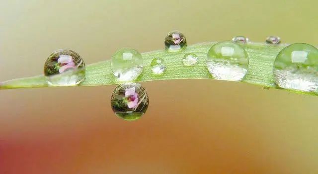 |7月15号大喜到家,财气满满,行大运发大财,好运福运财运一起来3生肖