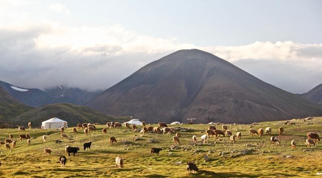 收到30000隻羊後，中國向蒙古回贈物資！中蒙關系為何突然變好瞭-圖5