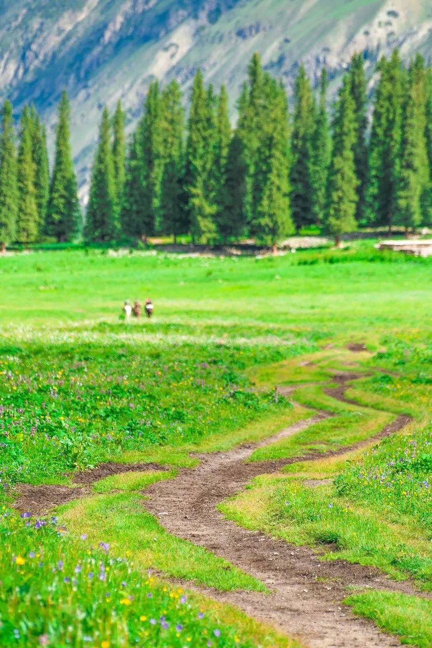 【新疆维吾尔自治区】去了北疆才知道，中国有多大；去了南疆才知道，中国有多美 美人美景