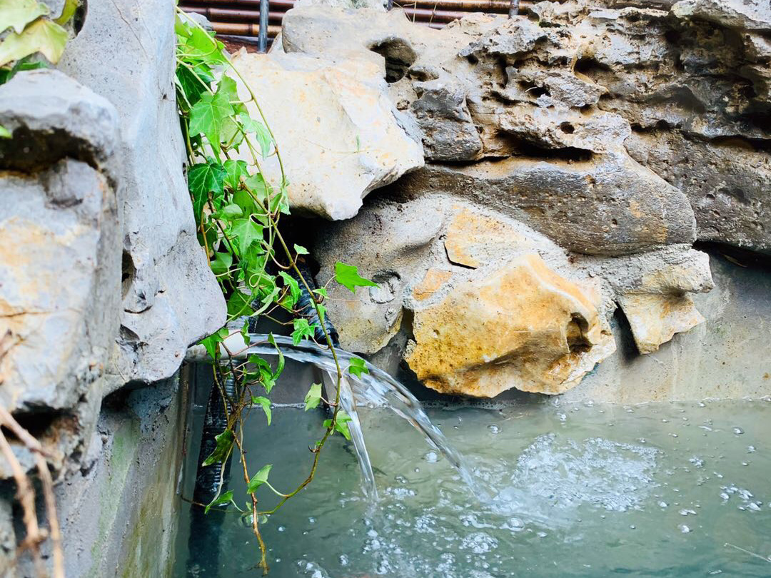 |40㎡一楼“小院改造”：这样的日式庭院设计，美得让人挪不动步