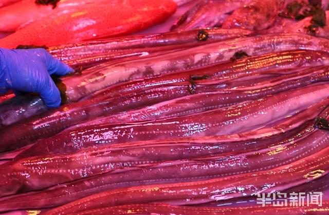 半岛新闻客户端|螃蟹50元、大海螺45元！记者走市场逛码头，青岛最“鲜”海货价格表来了