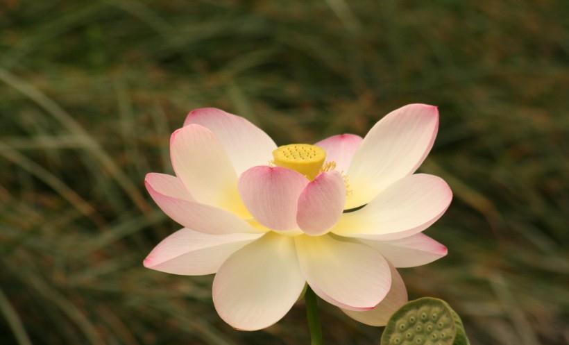 运势|9月开始财帛入口袋，运势相伴，工作畅通无阻，非富即贵的生肖