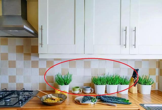 ：新房入住切腹自尽！这25处装的毫无人性、无半点用处！心血全白费