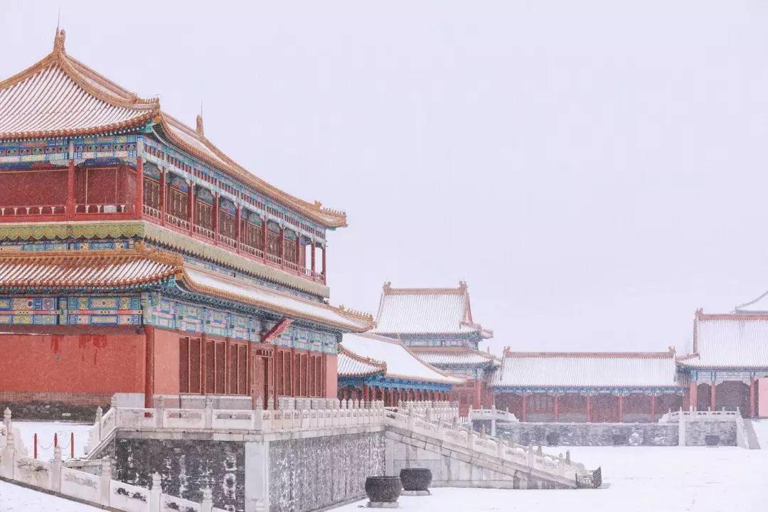 全网爆火的故宫雪景图和猫，是她拍下的。