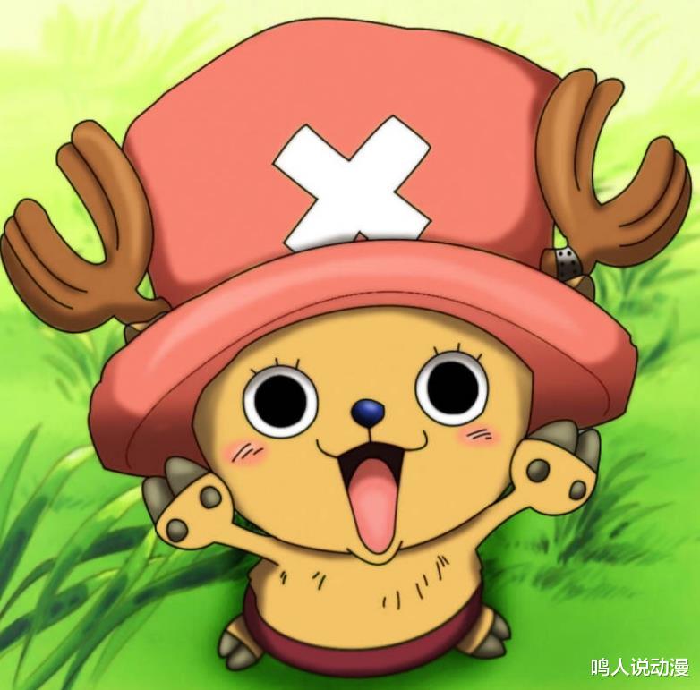 海贼王|海贼王997话情报：索隆看见小菊断臂！阎魔霸气爆发！