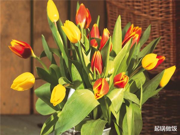 生肖|恭喜3星座，七月底求得上上签，爱情即刻出现