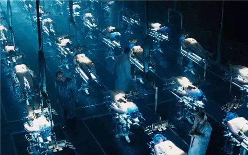 ▲23年前就造出了克隆羊，为何至今还没克隆人？看看羊的结局就懂了