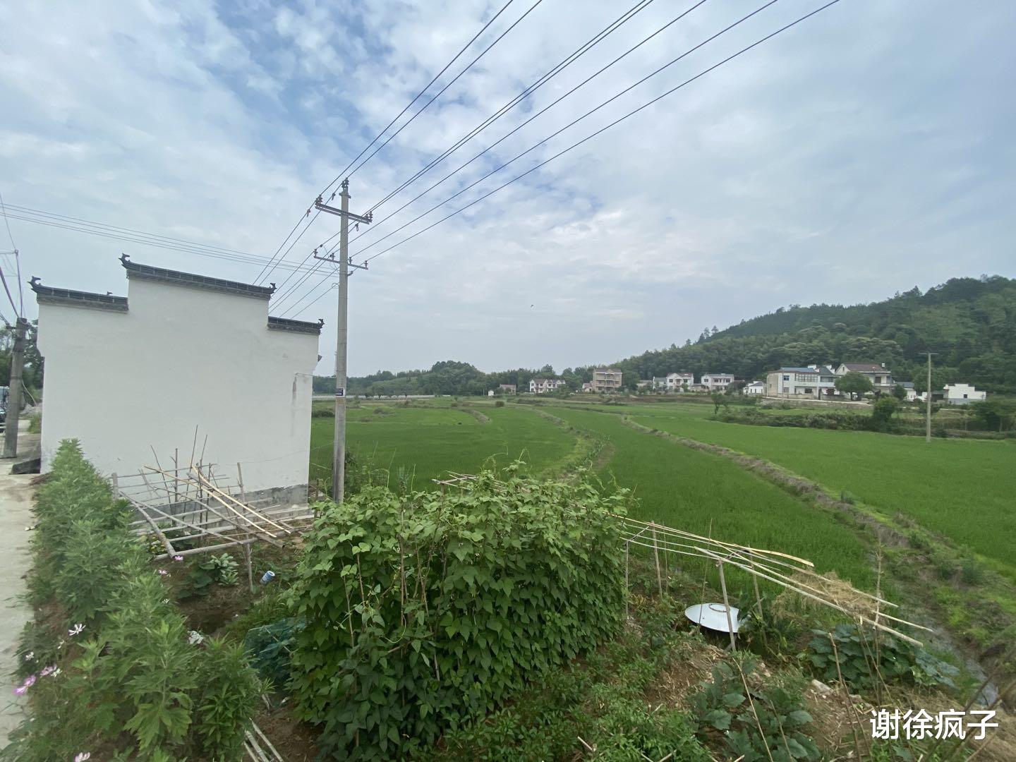 「池州」安徽池州这个小村子太美了吧 青山绿水像幅画 网友：来了不想离开