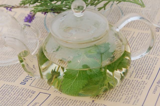 炒鸡蛋@5种花能当菜吃，花朵摘下来，炒鸡蛋喷香！