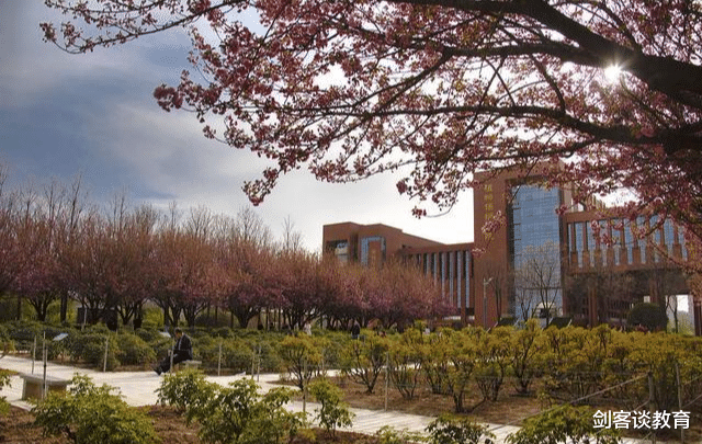 高校|医学类高校大热，这一类高校却黯然神伤，值得深思！