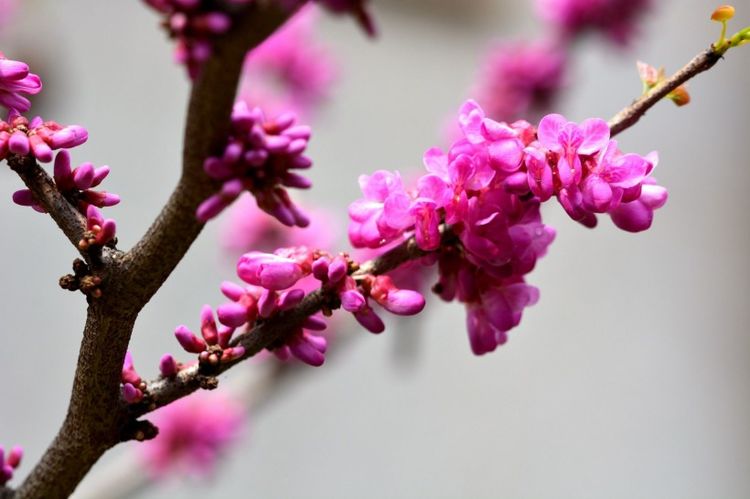 生肖|九月份开始，天天笑容关脸上，好运不迟到，家财不漏福禄多的生肖