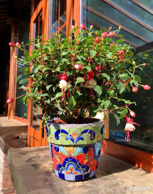 【智商税】日子过久了才发现,有的家居用品没必要选贵的,实用就行!