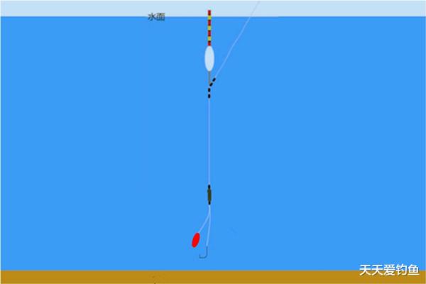 「」用玉米粒钓鱼，调漂可以用这些方法！