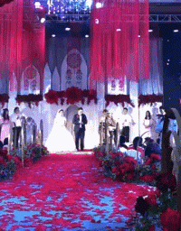 眼影|“在玉米地里面无意发现的,我现在很慌怎么办?”哈哈哈哈哈评论区沸腾了