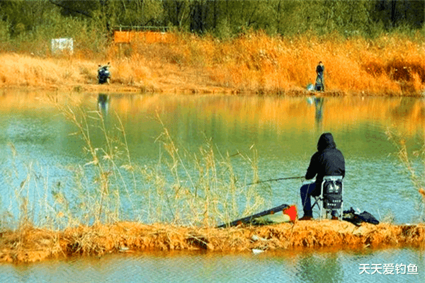 钓鱼|秋季钓鱼，这几种天气最容易爆护，大货都能连竿上！