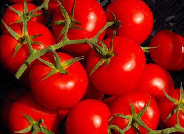 肝脏：聪明人都“爱”的3种食物，排毒抗衰老，清热解毒保肝脏