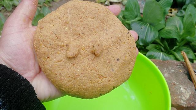 ：夏钓鲫鱼，这样开制搓饵与拉饵，诱钓结合轻松避小鱼，渔获多多！