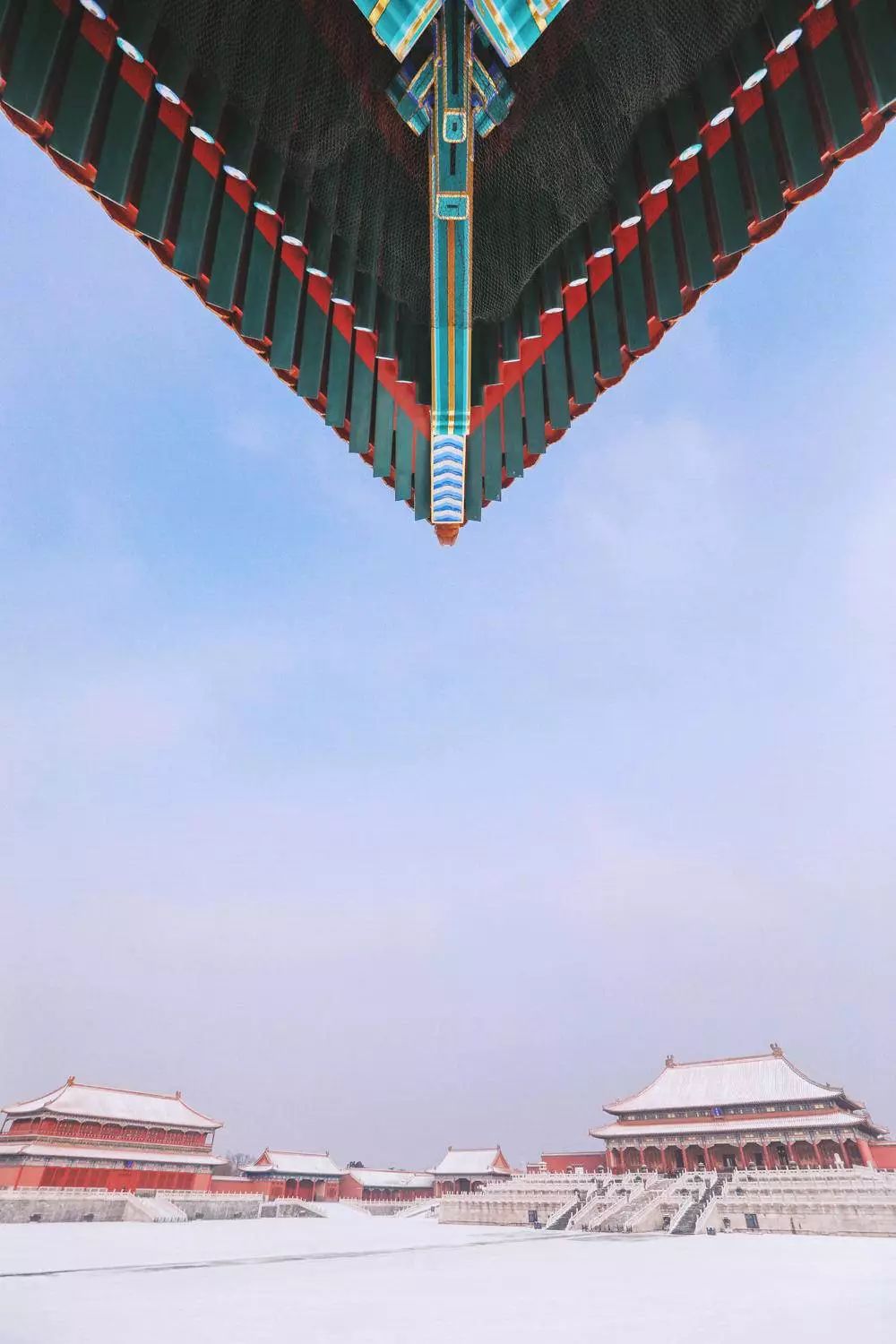 全网爆火的故宫雪景图和猫，是她拍下的。